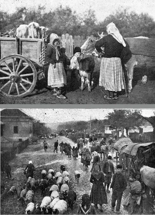 Framed Print : Au debut de l'Invasion de la Serbie. --Scenes de l'exode des populations serbes devant... 1916. Creator: R. Marianovitch Framed Print : Au debut de l'Invasion de la Serbie. --Scenes de l'exode des populations serbes devant... 1916. Creator: R. Marianovitch