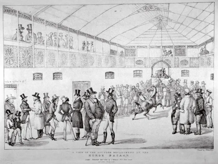 Framed Print : Auction rooms at Aldridges Horse Repository, St Martins Lane, Westminster, London, 1824 Framed Print : Auction rooms at Aldridges Horse Repository, St Martins Lane, Westminster, London, 1824