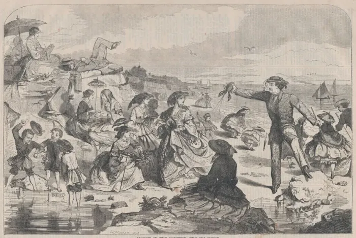 Framed Print : August in the Country - The Sea-Shore (Harpers Weekly, Vol. III), August 27, 1859
