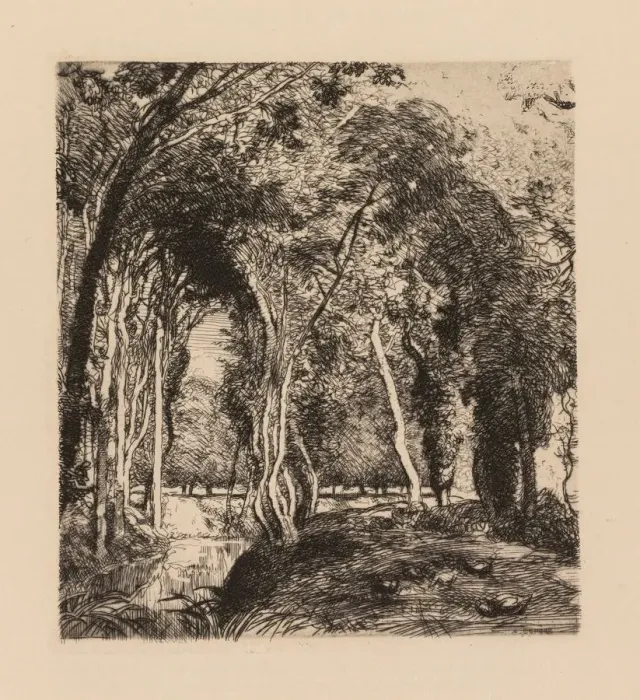 Framed Print : Auguste Lepere: Sous bois, a la Rigonette (Vendee) Framed Print : Auguste Lepere: Sous bois, a la Rigonette (Vendee)