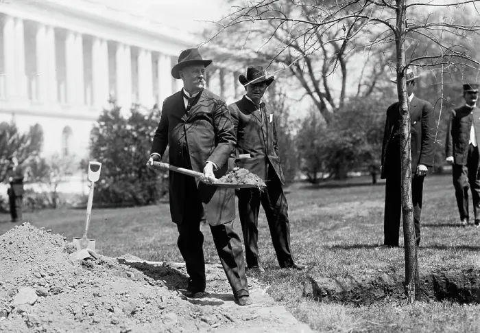 Framed Print : Augustus Octavius Bacon, Senator From Georgia. Left, Planting Tree At Capitol, 1911. Creator: Harris & Ewing. Augustus Octavius Bacon, Senator From Georgia. Left, Planting Tree At Capitol, 1911. Creator: Harris & Ewing Framed Print : Augustus Octavius Bacon, Senator From Georgia. Left, Planting Tree At Capitol, 1911. Creator: Harris & Ewing. Augustus Octavius Bacon, Senator From Georgia. Left, Planting Tree At Capitol, 1911. Creator: Harris & Ewing