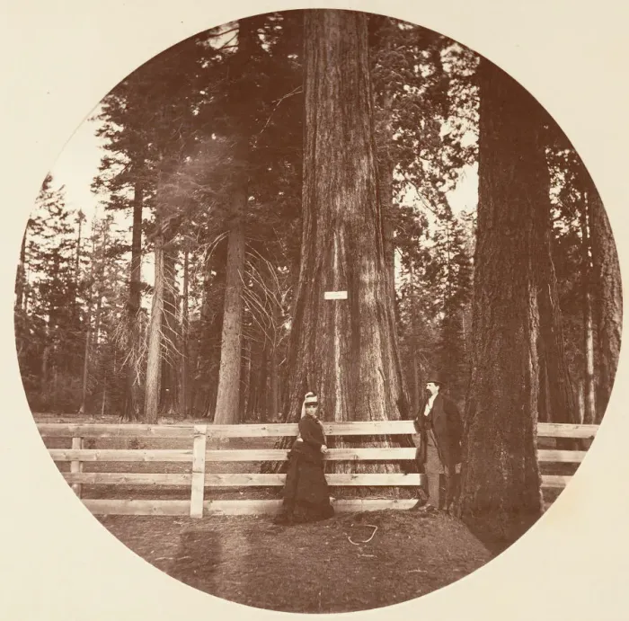 Framed Print : Auld Reckie. C. Grove, ca. 1878. Creator: Carleton Emmons Watkins Framed Print : Auld Reckie. C. Grove, ca. 1878. Creator: Carleton Emmons Watkins
