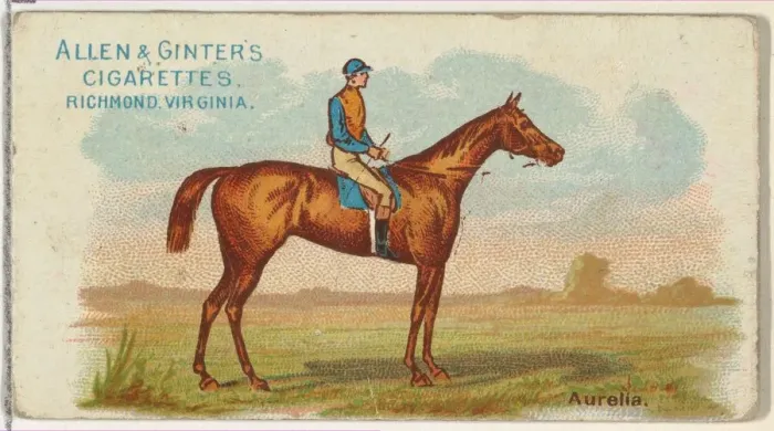 Framed Print : Aurelia, from The Worlds Racers series (N32) for Allen & Ginter Cigarettes, 1888 Framed Print : Aurelia, from The Worlds Racers series (N32) for Allen & Ginter Cigarettes, 1888