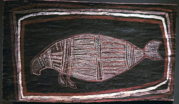 Australian Aboriginal bark-painting of a Dugong