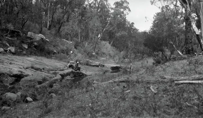 Framed Print : Australian bush scene, c1900s. Creator: Robert Augustus Henry L'Estrange. Australian bush scene, c1900s. Creator: Robert Augustus Henry L'Estrange Framed Print : Australian bush scene, c1900s. Creator: Robert Augustus Henry L'Estrange. Australian bush scene, c1900s. Creator: Robert Augustus Henry L'Estrange