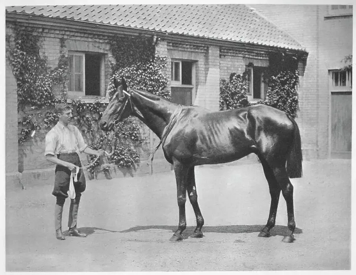 Framed Print : Australian Star, 1911 Framed Print : Australian Star, 1911