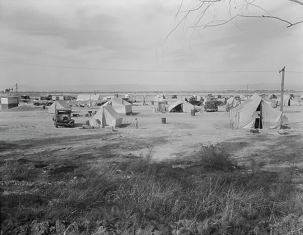 Auto camp north of Calipatria, California, 1937. Creator: Dorothea Lange