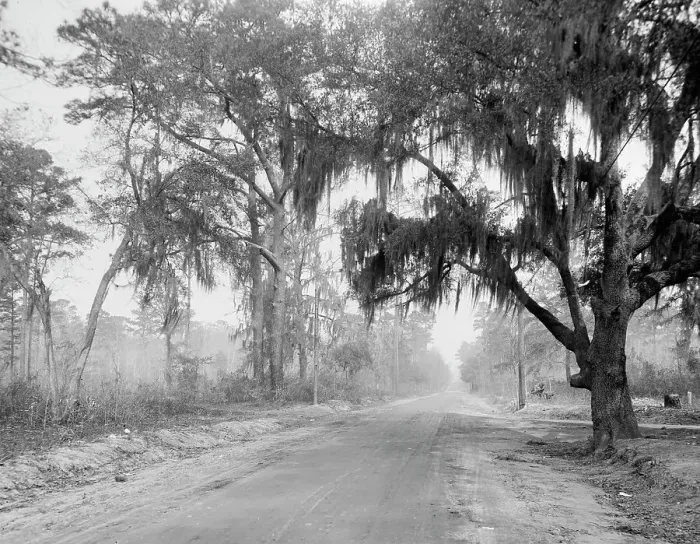 Framed Print : Auto course, Savannah, Ga. between 1900 and 1920. Creator: Unknown Framed Print : Auto course, Savannah, Ga. between 1900 and 1920. Creator: Unknown