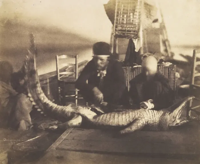 Framed Print : Autopsy of the First Crocodile Onboard, Upper Egypt, 1852. Creator: Ernest Benecke Framed Print : Autopsy of the First Crocodile Onboard, Upper Egypt, 1852. Creator: Ernest Benecke