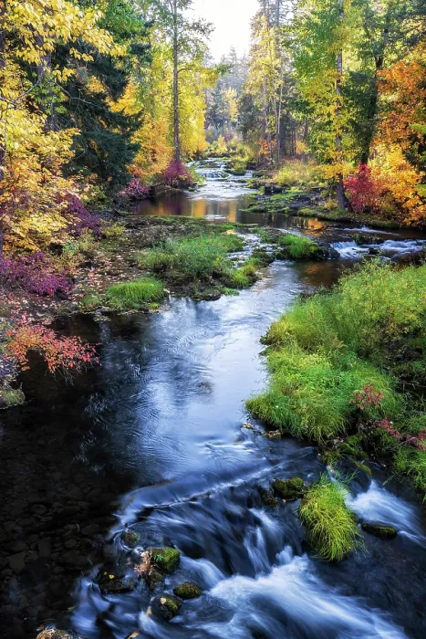 Framed Print : Autumn Colors. Creator: Joshua Johnston Framed Print : Autumn Colors. Creator: Joshua Johnston