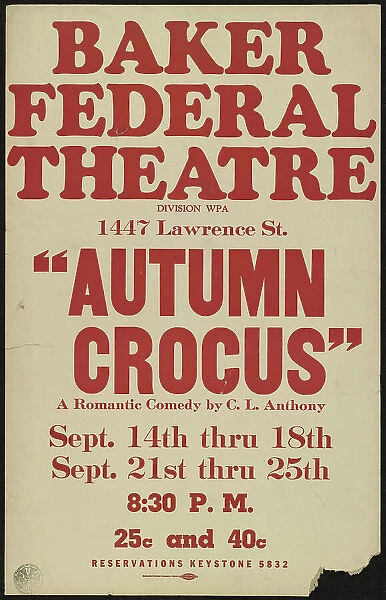 Autumn Crocus, Denver, [1930s]. Creator: Unknown