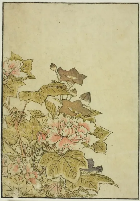 Framed Print : Autumn Flowers: Peonies and Bellflowers, from the book Mirror of Beautiful Women of the... 1776. Creator: Shunsho. Autumn Flowers: Peonies and Bellflowers, from the book Mirror of Beautiful Women of the... 1776. Creator: Shunsho Framed Print : Autumn Flowers: Peonies and Bellflowers, from the book Mirror of Beautiful Women of the... 1776. Creator: Shunsho. Autumn Flowers: Peonies and Bellflowers, from the book Mirror of Beautiful Women of the... 1776. Creator: Shunsho
