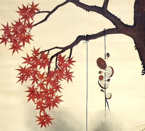 Autumn Maple, late 19th century. Creator: Shibata Zeshin