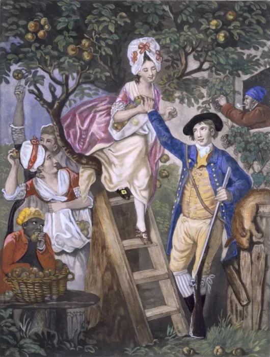 Framed Print : Autumn, Negro Servant. Creator: John Collet (c. 1725-80) after Framed Print : Autumn, Negro Servant. Creator: John Collet (c. 1725-80) after
