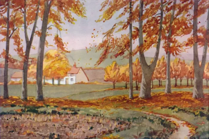 Framed Print : Autumn - The Physical, Chemical and Biological Changes Wrought By The Sun During The Year, 1935 Framed Print : Autumn - The Physical, Chemical and Biological Changes Wrought By The Sun During The Year, 1935