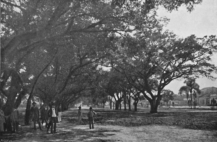 Framed Print : Avenida de Tiradentes, 1895. Artist: Paulo Kowalsky Framed Print : Avenida de Tiradentes, 1895. Artist: Paulo Kowalsky