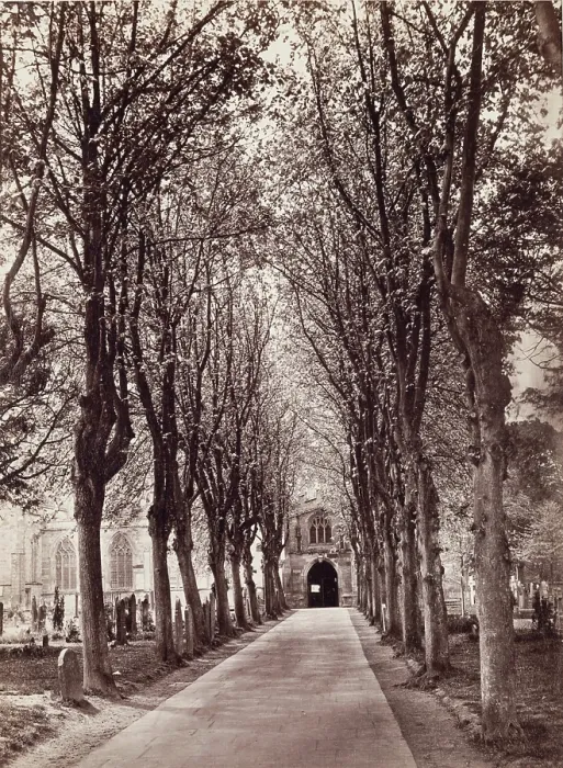 Framed Print : Avenue to the Church, Stratford on Avon, between 1870 and 1880. Creator: Francis Bedford Framed Print : Avenue to the Church, Stratford on Avon, between 1870 and 1880. Creator: Francis Bedford