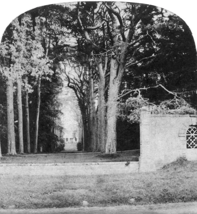 Framed Print : The Avenue, Guys Cliff, Warwick, early 20th century Framed Print : The Avenue, Guys Cliff, Warwick, early 20th century