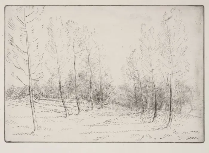 Framed Print : Avenue of Poplars. Creator: Alphonse Legros (French, 1837-1911) Framed Print : Avenue of Poplars. Creator: Alphonse Legros (French, 1837-1911)