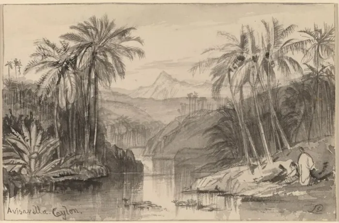 Framed Print : Avisavella, Ceylon, 1884 / 1885. Creator: Edward Lear Framed Print : Avisavella, Ceylon, 1884 / 1885. Creator: Edward Lear