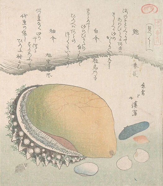 Awabi (Ear-Shell) and Various Shells, 19th century. Creator: Totoya Hokkei