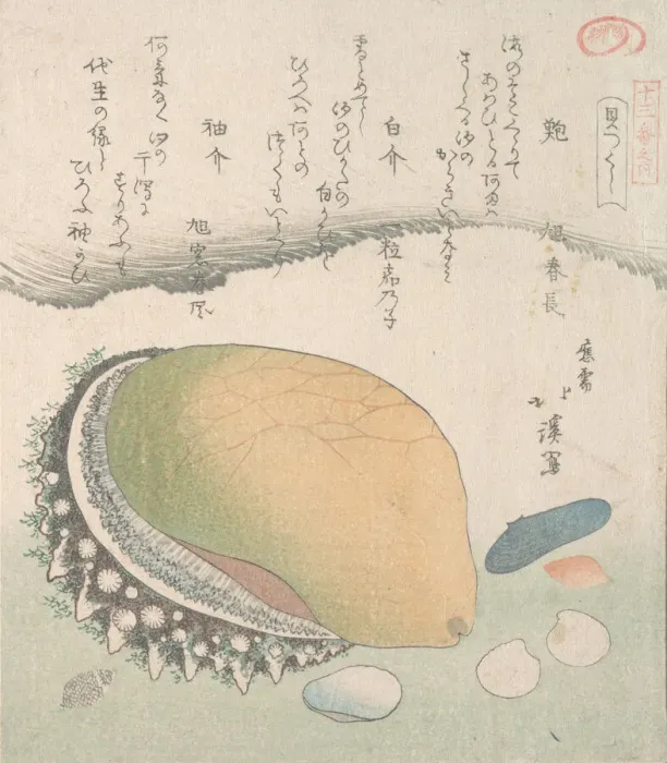 Framed Print : Awabi (Ear-Shell) and Various Shells, 19th century. Creator: Totoya Hokkei Framed Print : Awabi (Ear-Shell) and Various Shells, 19th century. Creator: Totoya Hokkei