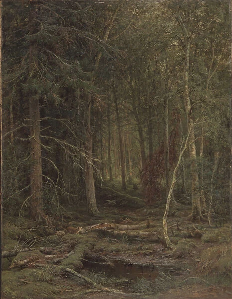 Backwoods. Artist: Shishkin, Ivan Ivanovich (1832-1898)