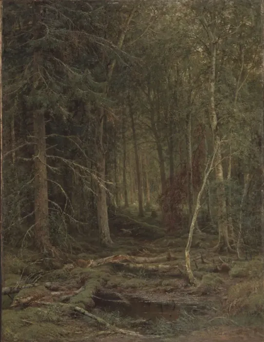 Framed Print : Backwoods. Artist: Shishkin, Ivan Ivanovich (1832-1898) Framed Print : Backwoods. Artist: Shishkin, Ivan Ivanovich (1832-1898)