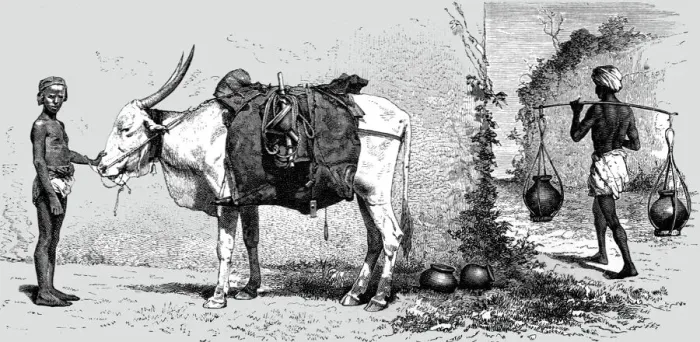 Framed Print : Baggage-animal, India; Black Bear shooting in the Himalayas, 1875. Creator: G. Beste Framed Print : Baggage-animal, India; Black Bear shooting in the Himalayas, 1875. Creator: G. Beste