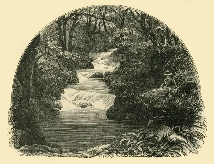 Framed Print : Bagworthy Waterslide, 1898. Creator: Unknown Framed Print : Bagworthy Waterslide, 1898. Creator: Unknown