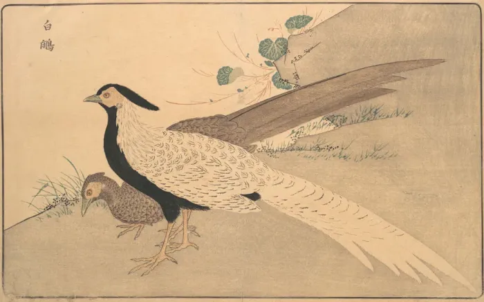 Framed Print : Bai xian, 1789. Creator: Kitao Masayoshi Framed Print : Bai xian, 1789. Creator: Kitao Masayoshi