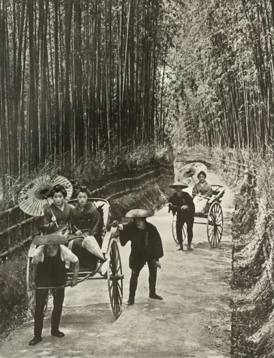 Framed Print : A Bamboo Avenue at Kyoto, 1910. Creator: Herbert Ponting Framed Print : A Bamboo Avenue at Kyoto, 1910. Creator: Herbert Ponting