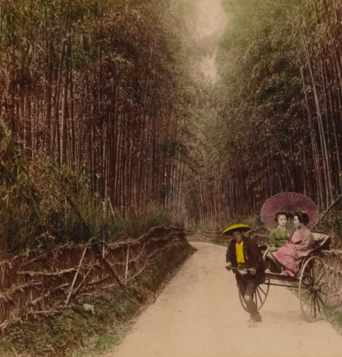 Framed Print : Bamboo Avenue, Kyoto, Japan, 1896 Framed Print : Bamboo Avenue, Kyoto, Japan, 1896