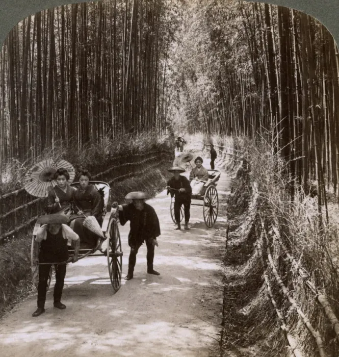 Framed Print : Bamboo avenue, looking south-west, near Kiyomizu, Kyoto, Japan, 1904. Artist: Underwood & Underwood Framed Print : Bamboo avenue, looking south-west, near Kiyomizu, Kyoto, Japan, 1904. Artist: Underwood & Underwood