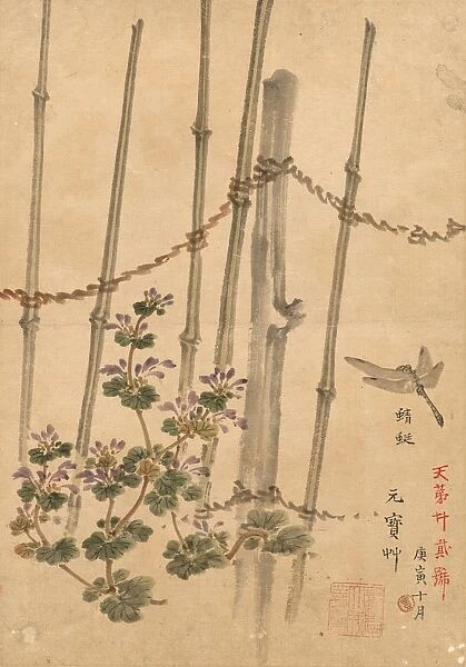 Bamboo Fence and Chrysanthemums, c. 1890. Creator: Kono Bairei (Japanese, 1844-1895)