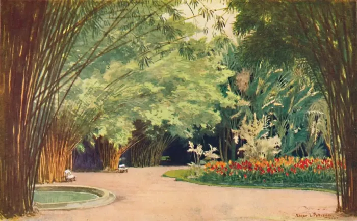 Framed Print : A Bamboo Grove - Botanical Gardens, 1914. Artist: Edgar L Pattison Framed Print : A Bamboo Grove - Botanical Gardens, 1914. Artist: Edgar L Pattison