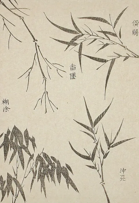 Framed Print : Bamboo Leaves at Various Stages of Growth, c1850. Creator: Unknown Framed Print : Bamboo Leaves at Various Stages of Growth, c1850. Creator: Unknown