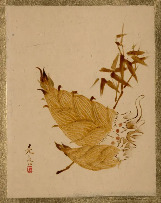 Framed Print : Bamboo Shoots, ca. 1880s. Creator: Shibata Zeshin Framed Print : Bamboo Shoots, ca. 1880s. Creator: Shibata Zeshin