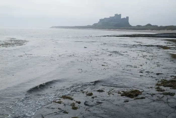 Framed Print : Bamburgh Castle, 2006. Creator: Ethel Davies Framed Print : Bamburgh Castle, 2006. Creator: Ethel Davies