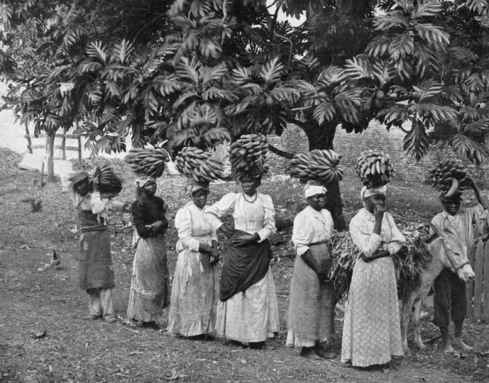 Framed Print : Banana carriers, Jamaica, c1905. Artist: Adolphe Duperly & Son Framed Print : Banana carriers, Jamaica, c1905. Artist: Adolphe Duperly & Son
