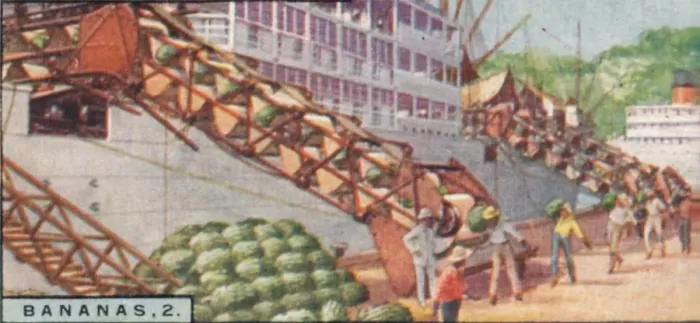 Framed Print : Bananas 2. - Loading a Steamship, Costa Rica, 1928 Framed Print : Bananas 2. - Loading a Steamship, Costa Rica, 1928