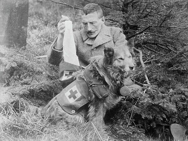 Bandages from kit of British Dog, between 1914 and c1915. Creator: Bain News Service