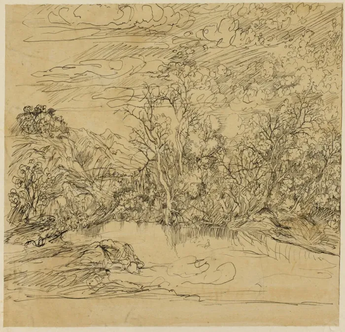 Framed Print : Bank of a Pond, n. d. Creator: Rodolphe Bresdin Framed Print : Bank of a Pond, n. d. Creator: Rodolphe Bresdin