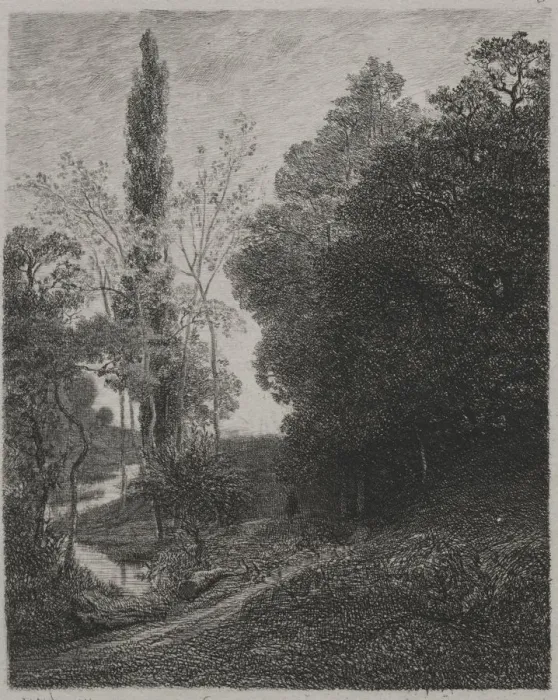 Framed Print : Banks of the River Cousin, 1850. Creator: Charles Francois Daubigny (French Framed Print : Banks of the River Cousin, 1850. Creator: Charles Francois Daubigny (French