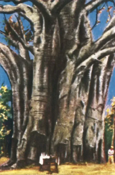 Framed Print : Baobab trees, Usambara Mountains, c1928. Creator: Unknown Framed Print : Baobab trees, Usambara Mountains, c1928. Creator: Unknown