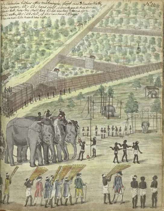 Framed Print : Baptizing an elephant, 1785. Creator: Jan Brandes Framed Print : Baptizing an elephant, 1785. Creator: Jan Brandes