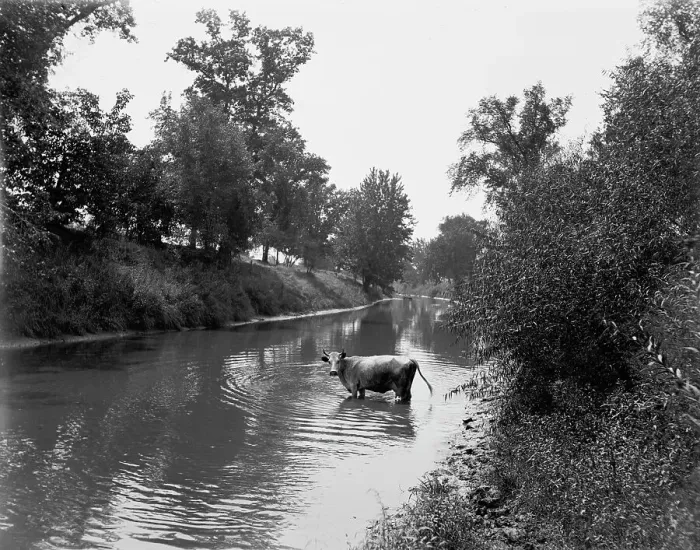 Framed Print : Baraboo River near Ableman's, between 1880 and 1899. Creator: Unknown Framed Print : Baraboo River near Ableman's, between 1880 and 1899. Creator: Unknown