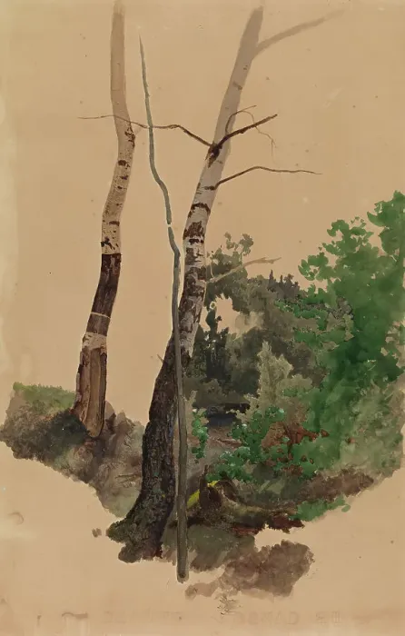 Framed Print : Two bare birch trunks and bushes, 1859. Creator: Werner Holmberg Framed Print : Two bare birch trunks and bushes, 1859. Creator: Werner Holmberg