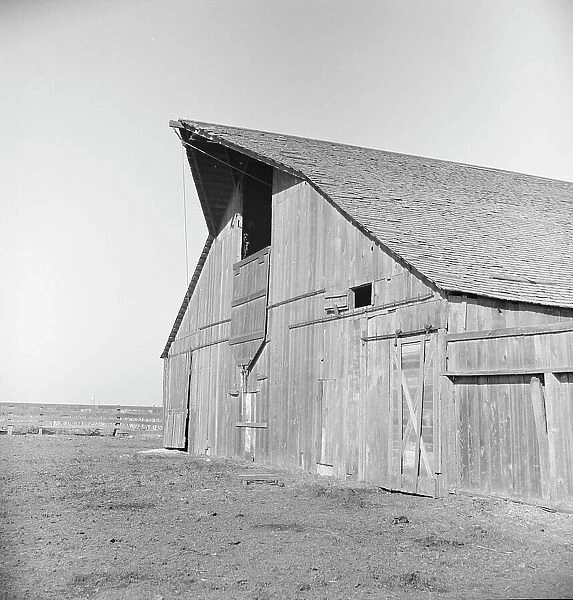 Barn of FSA tenant purchase client, near Manteca, California, 1938. Creator: Dorothea Lange