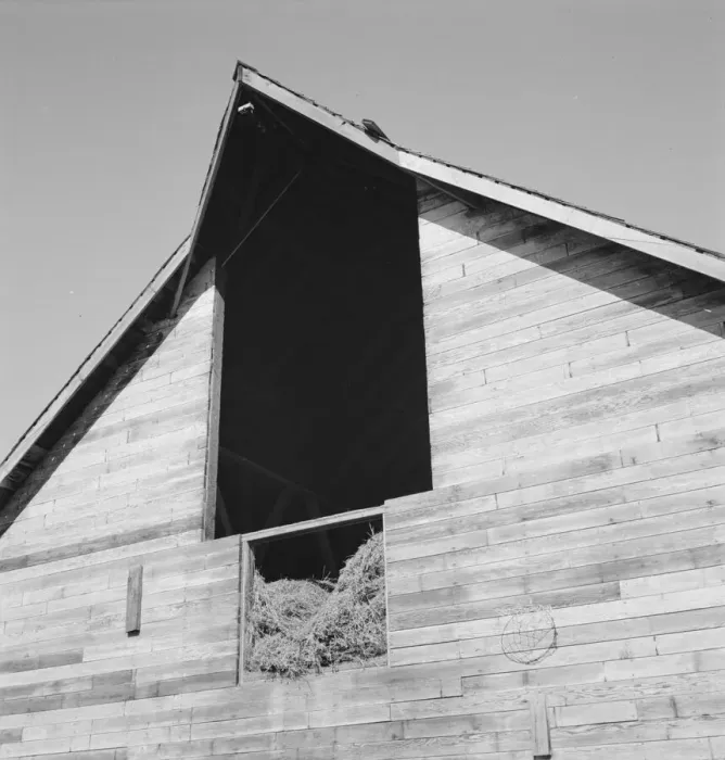 Framed Print : Detail of barn in northern Oregon, Irrigon, Morrow County, Oregon, 1939. Creator: Dorothea Lange Framed Print : Detail of barn in northern Oregon, Irrigon, Morrow County, Oregon, 1939. Creator: Dorothea Lange